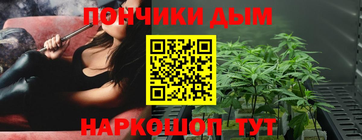 Шишки марихуана Ganja  Бошки Шишки AK-47  Конопля конопля  Озёры  Вход с VPN 