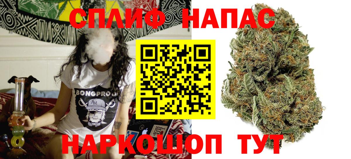 Конопля план Озёры